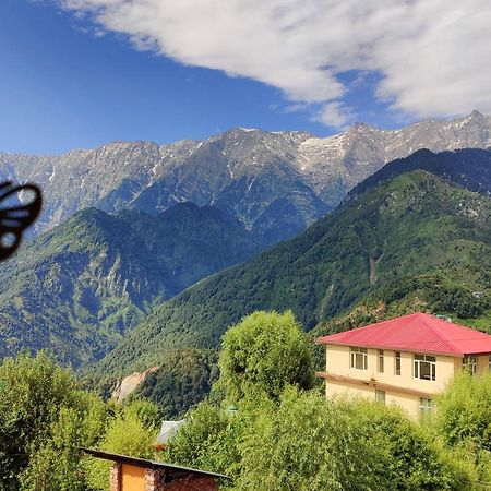 Sahaj Homestay Naddi Νταραμσάλα Εξωτερικό φωτογραφία