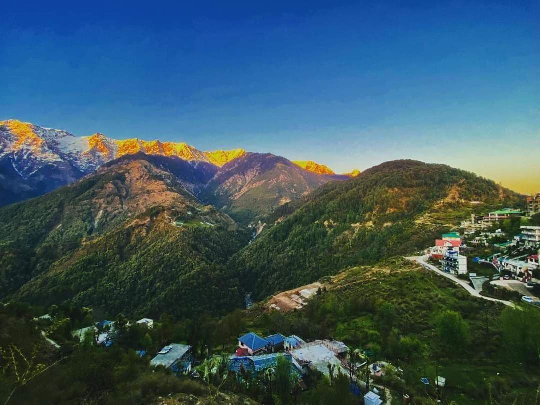 Sahaj Homestay Naddi Νταραμσάλα Εξωτερικό φωτογραφία