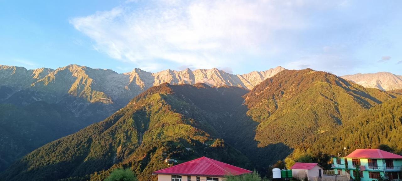 Sahaj Homestay Naddi Νταραμσάλα Εξωτερικό φωτογραφία